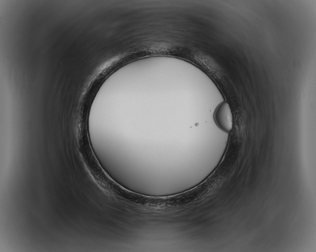 X0000086760728200705041447