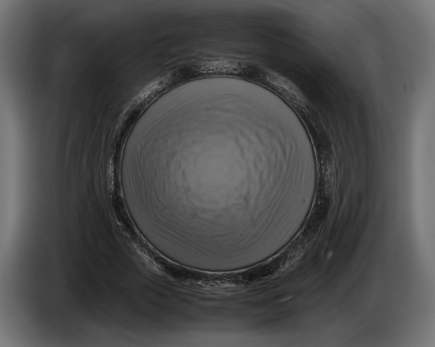 X0000086760729200705041447