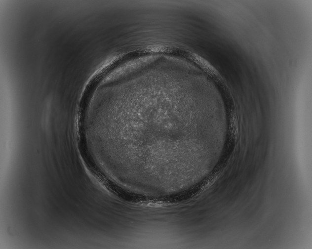 X0000086760730200705041447