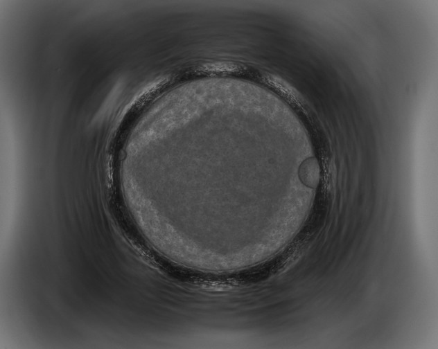 X0000086760731200705041447