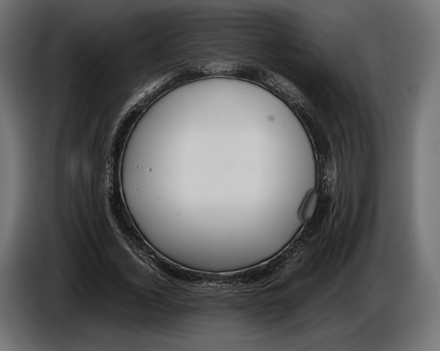 X0000086760732200705041447