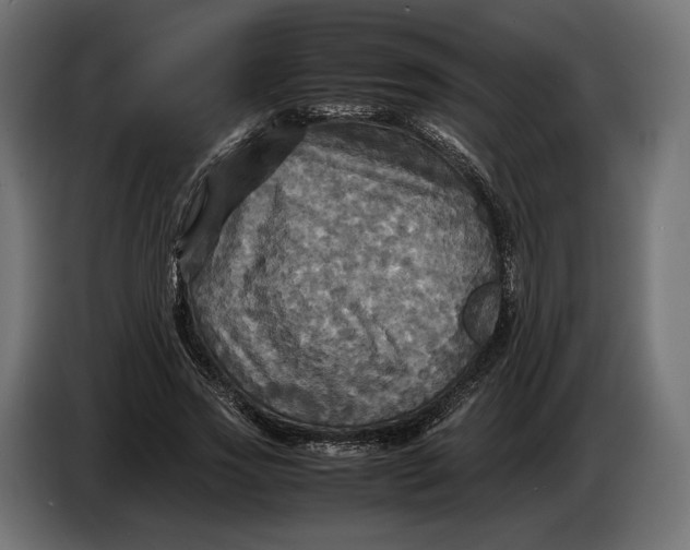 X0000086760733200705041447