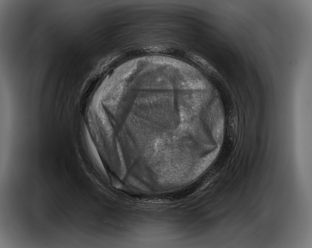 X0000086760734200705041447