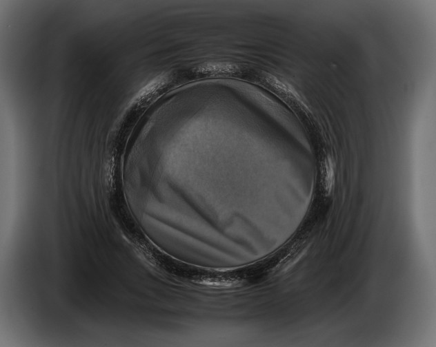 X0000086760735200705041447