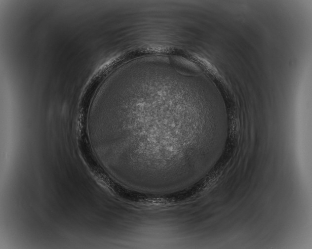 X0000086760736200705041447