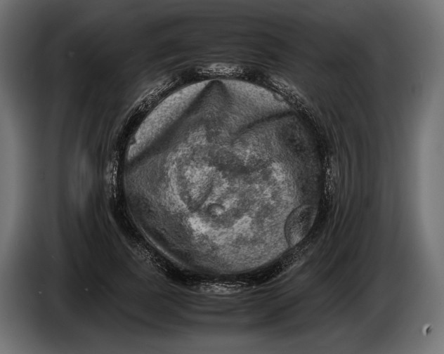 X0000086760739200705041447