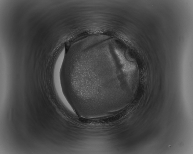 X0000086760742200705041448