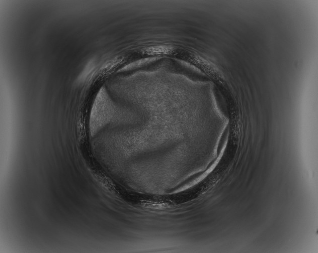 X0000086760743200705041448