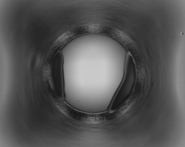 X0000086760744200705041448