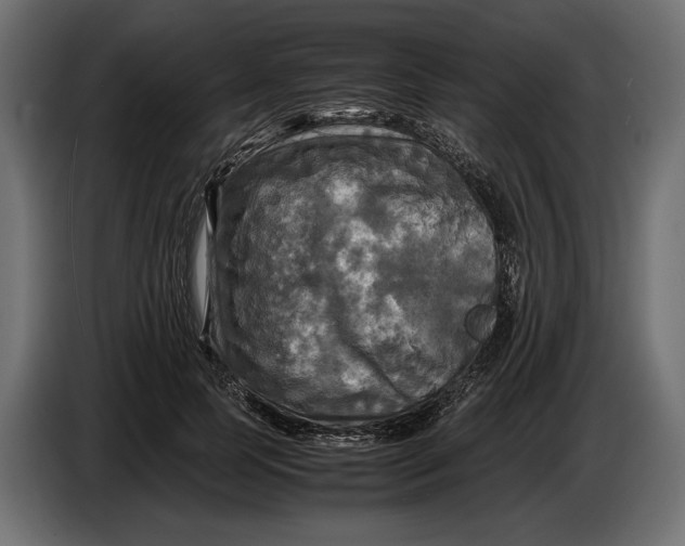 X0000086760745200705041448