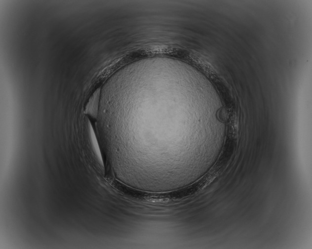 X0000086760746200705041448