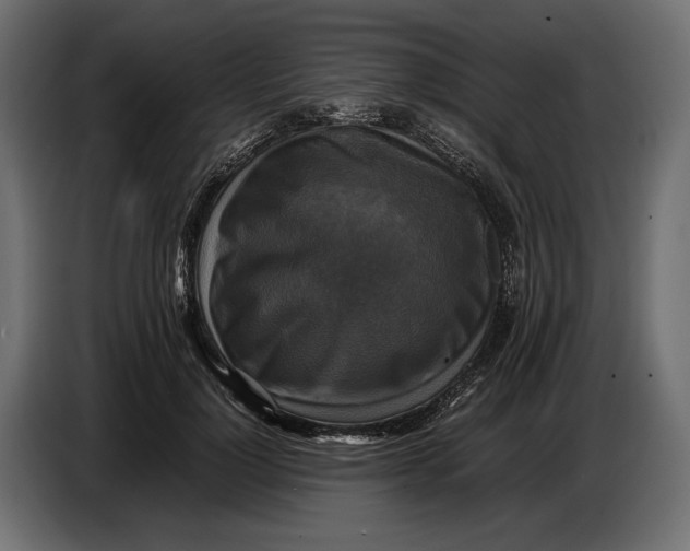 X0000086760748200705041448