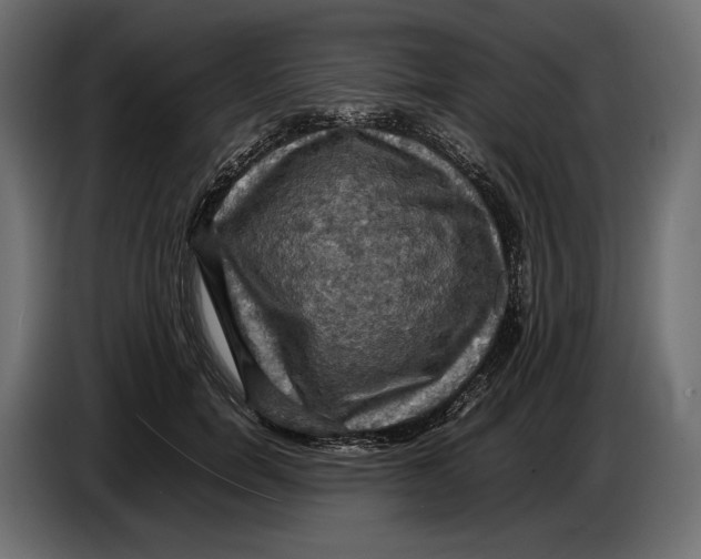 X0000086760750200705041448