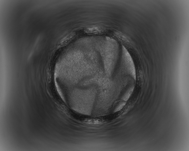 X0000086760751200705041448