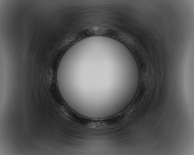 X0000086760752200705041448