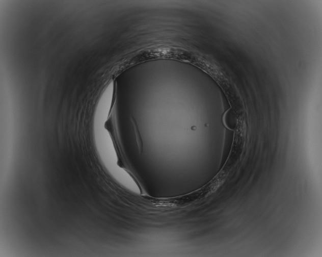 X0000086760754200705041448