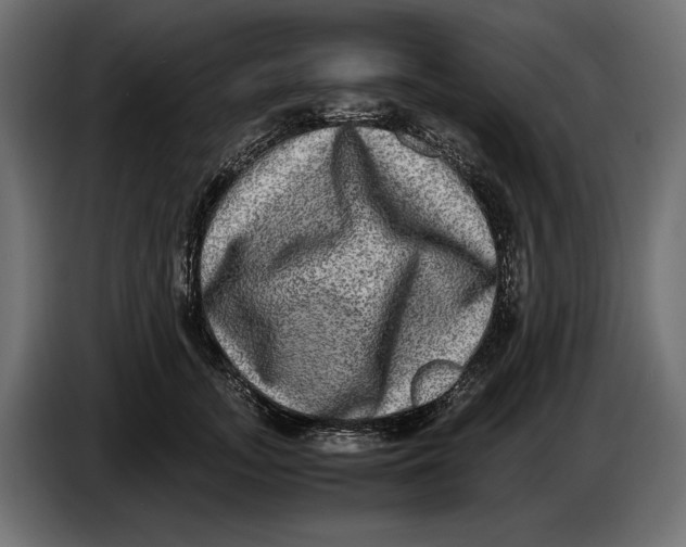 X0000086760755200705041448