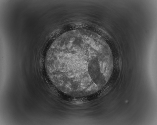 X0000086760757200705041448