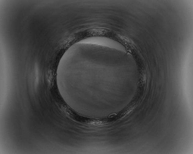 X0000086760759200705041448