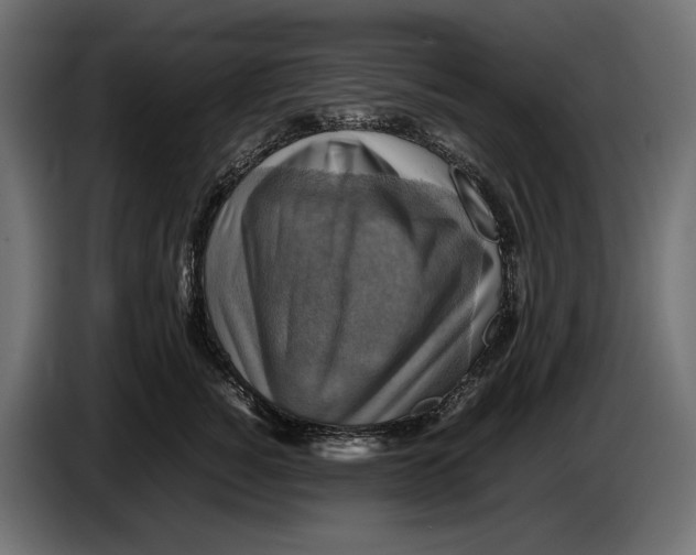 X0000086760760200705041448