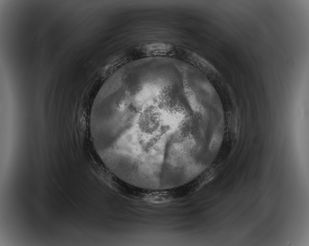 X0000086760761200705041448