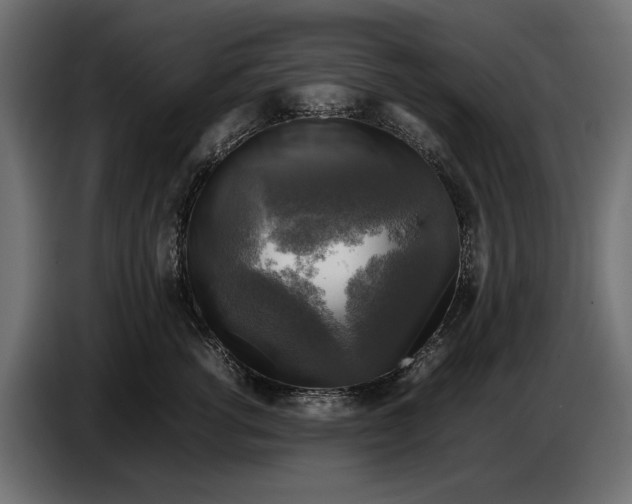 X0000086760762200705041448