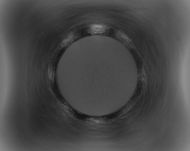 X0000086760763200705041448