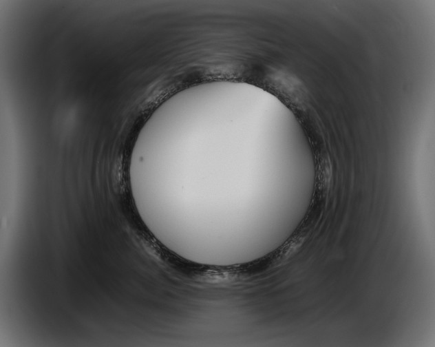 X0000086760764200705041448