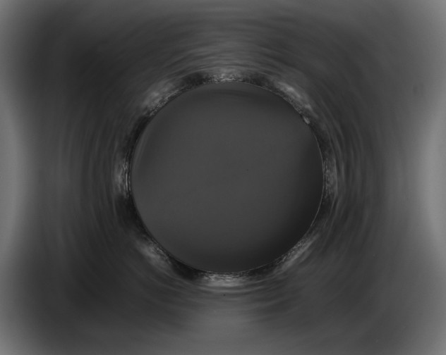 X0000086760766200705041448