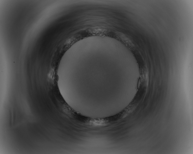 X0000086760767200705041448