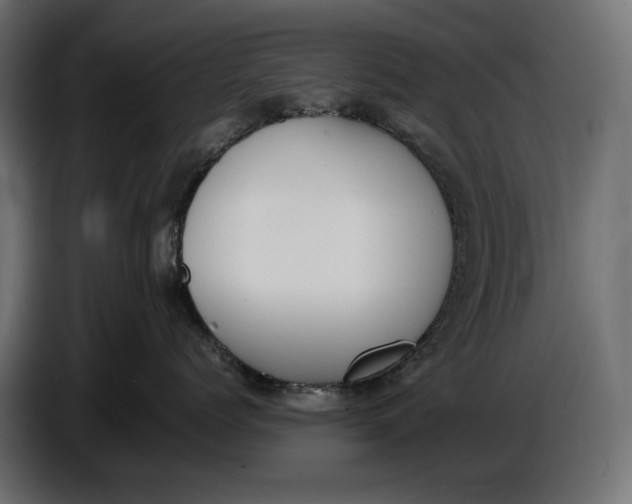 X0000086760768200705041448