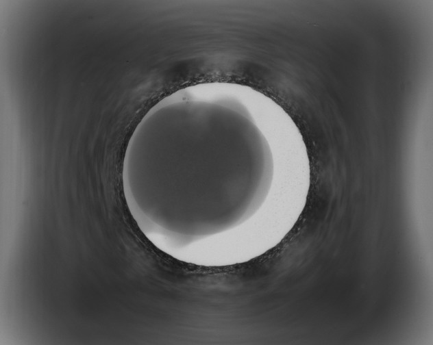 X0000086760769200705041447