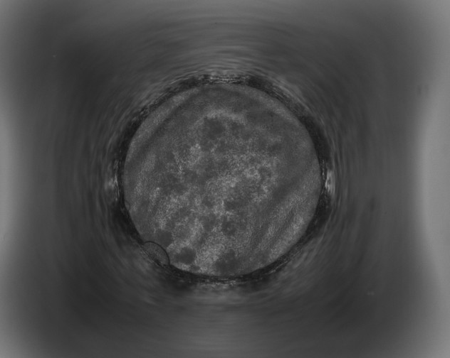 X0000086760771200705041447