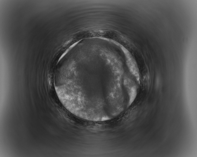 X0000086760772200705041447