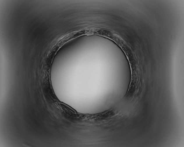 X0000086760773200705041447