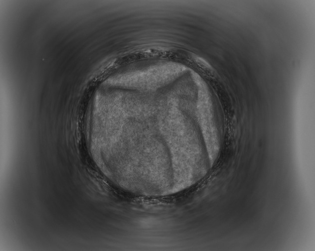 X0000086760774200705041447