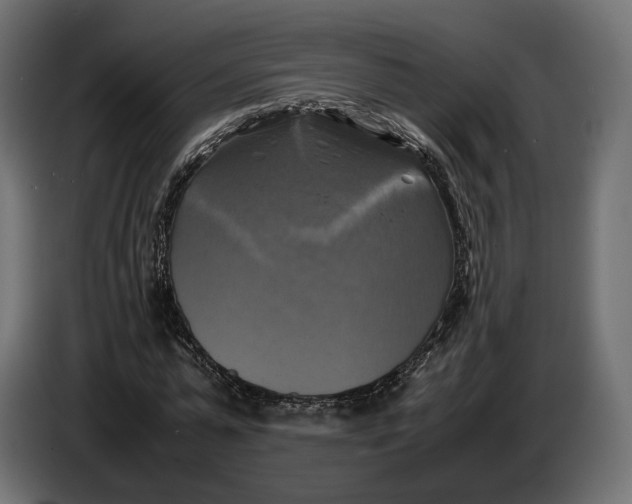 X0000086760775200705041447