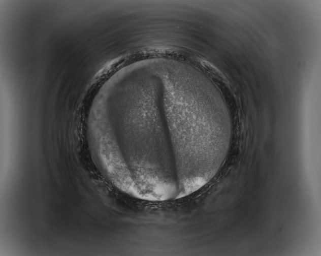 X0000086760776200705041447