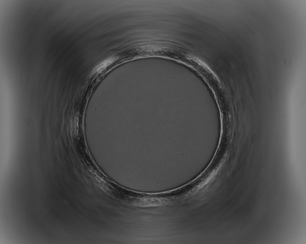 X0000086760777200705041447