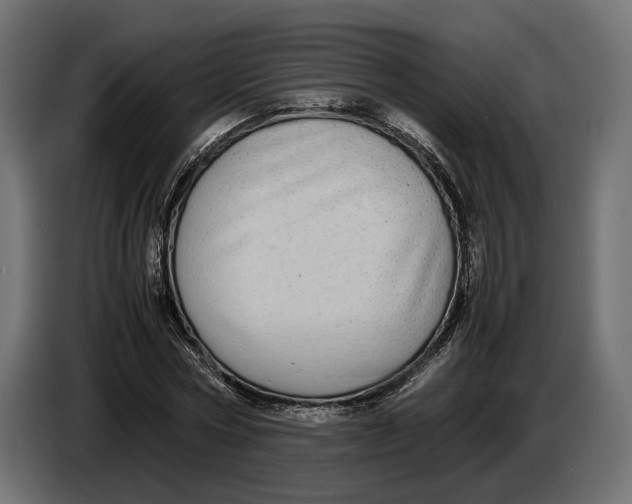 X0000086760778200705041447