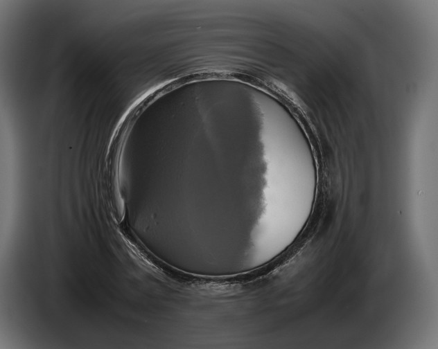 X0000086760779200705041447