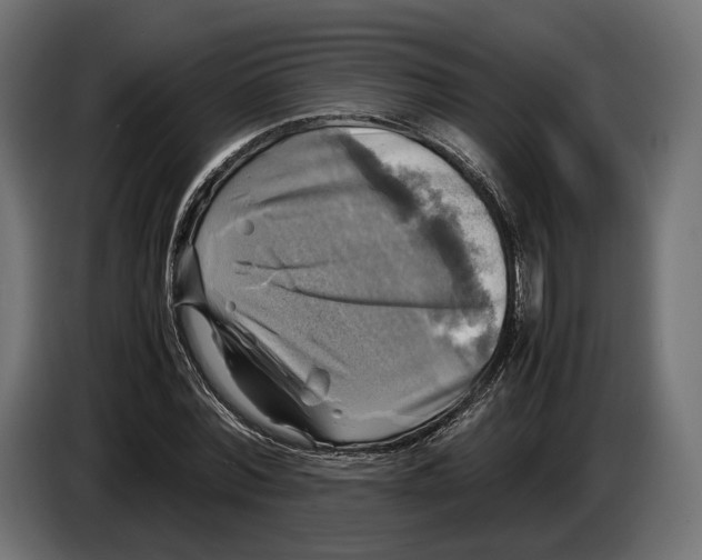 X0000086760780200705041447