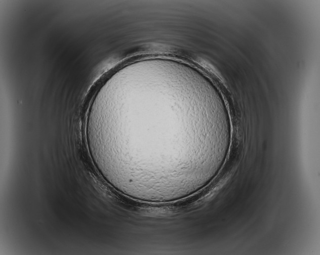 X0000086760781200705041447