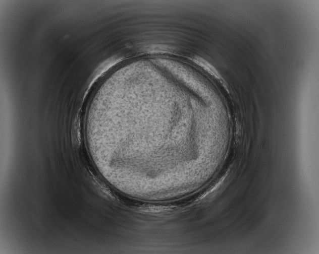 X0000086760782200705041447