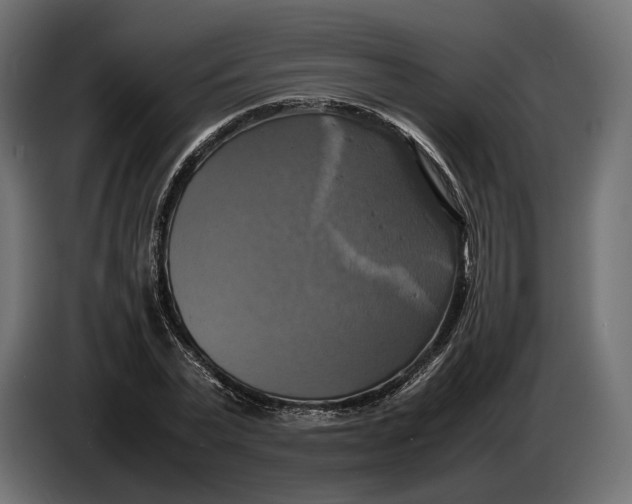 X0000086760783200705041447