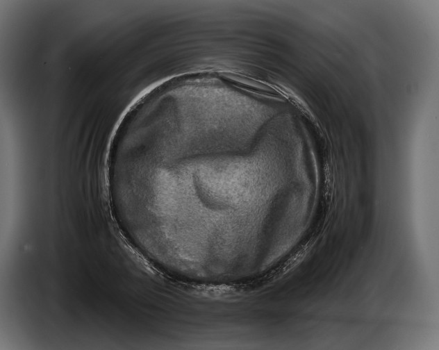 X0000086760784200705041447