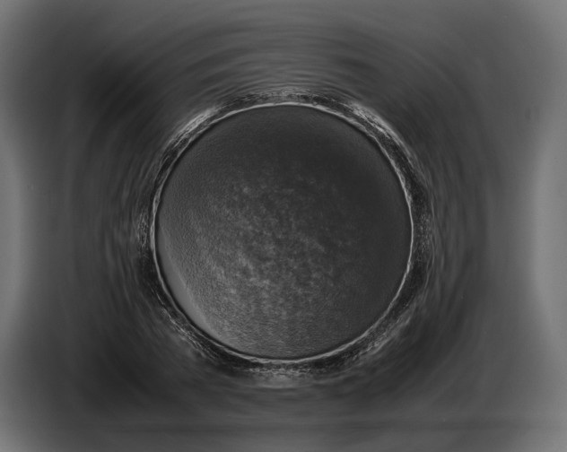 X0000086760785200705041447