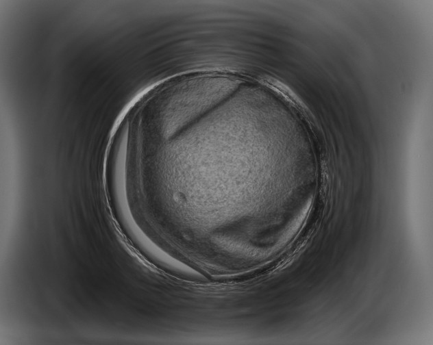 X0000086760788200705041447