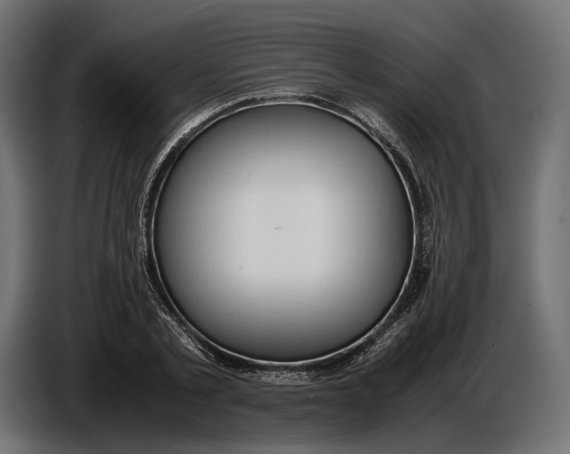 X0000086760789200705041447