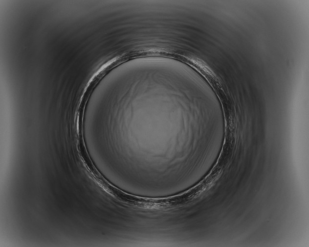 X0000086760790200705041447